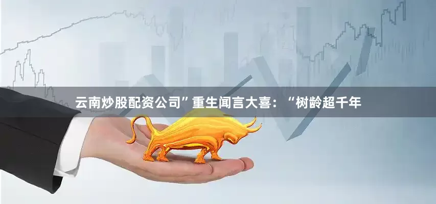云南炒股配资公司”重生闻言大喜：“树龄超千年