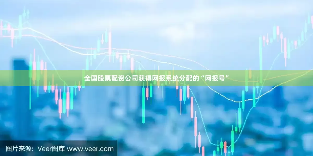 全国股票配资公司获得网报系统分配的“网报号”