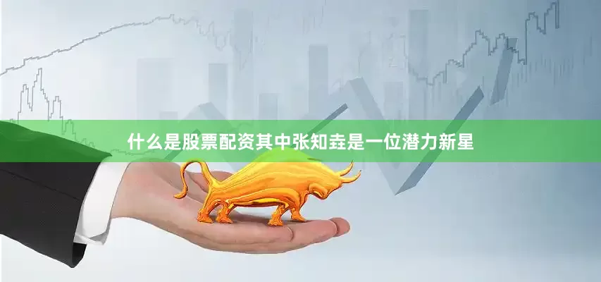 什么是股票配资　　其中张知垚是一位潜力新星