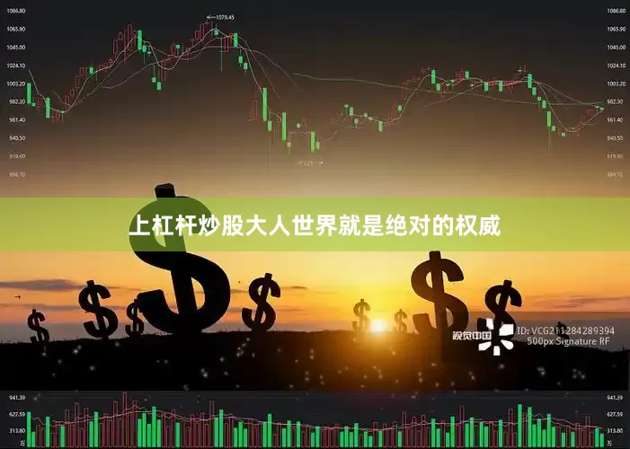 上杠杆炒股大人世界就是绝对的权威